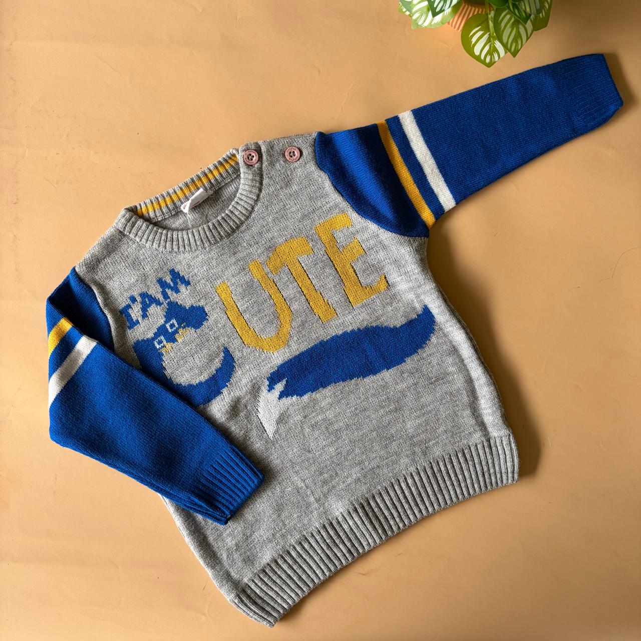Branded Sweaters (12-18 months)