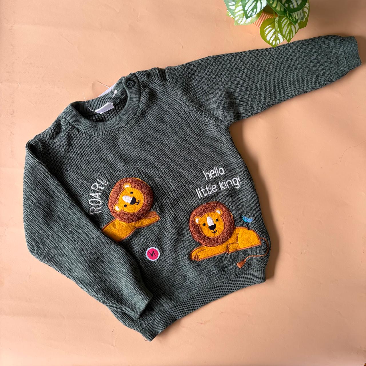 Branded Sweaters (12-18 months)