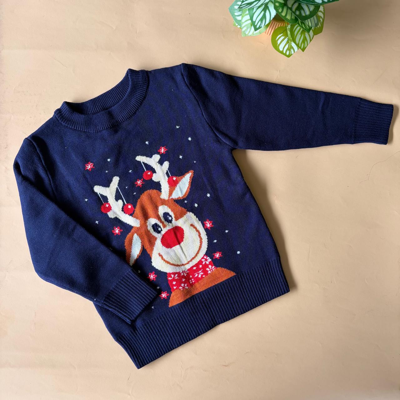 Branded Sweaters (12-18 months)