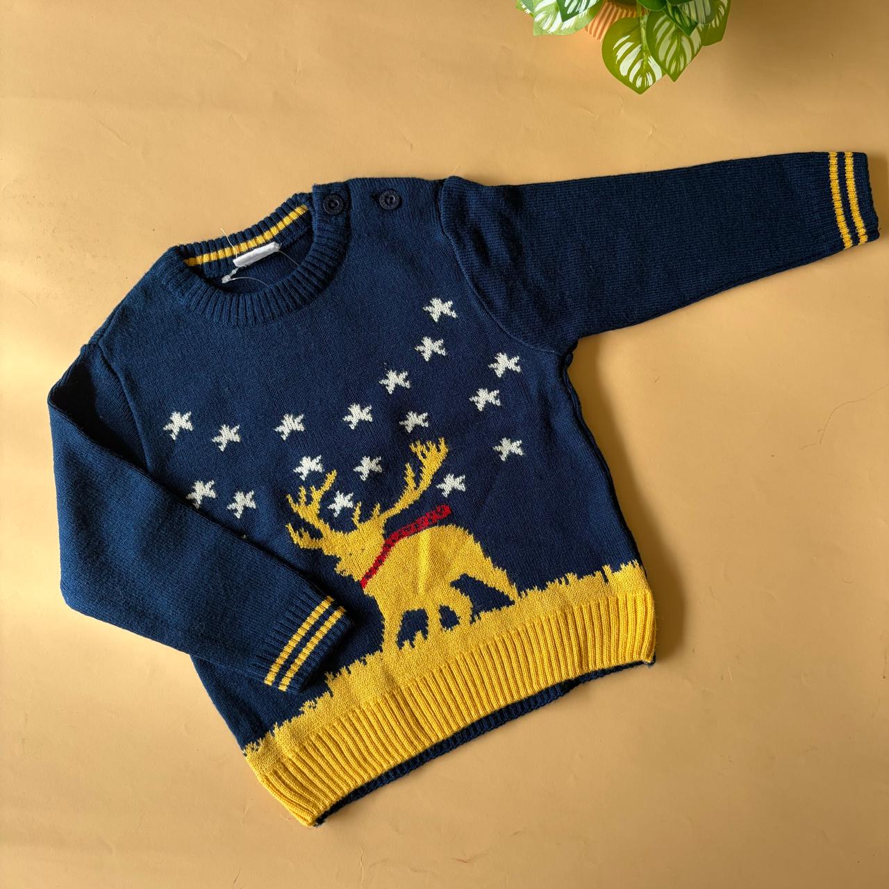 Branded Sweaters (9-12 months)